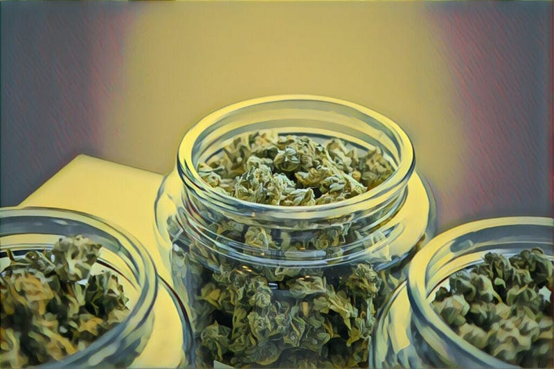 Growing your own: how to harvest?