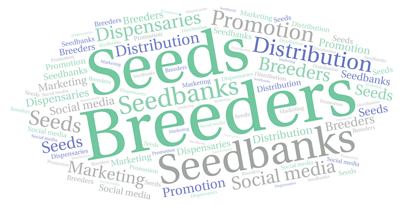 How seeds make their way from breeders to growers?