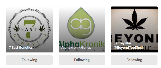 How to Get More Followers on Strainly?