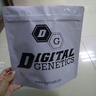 DGBags